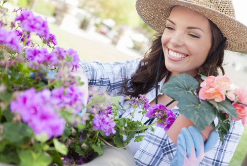 Tidy hedge cutting service for Colindale homes and businesses