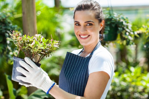 Commercial stump grinding service for outdoor spaces in Colindale