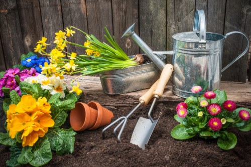 Local stump grinding work near fences and garden boundaries in Colindale