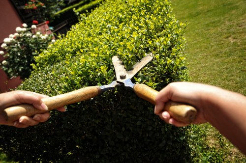 Tree maintenance work near homes and shared access in Colindale