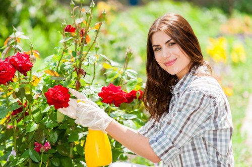 Secure online payment process for tree surgery services